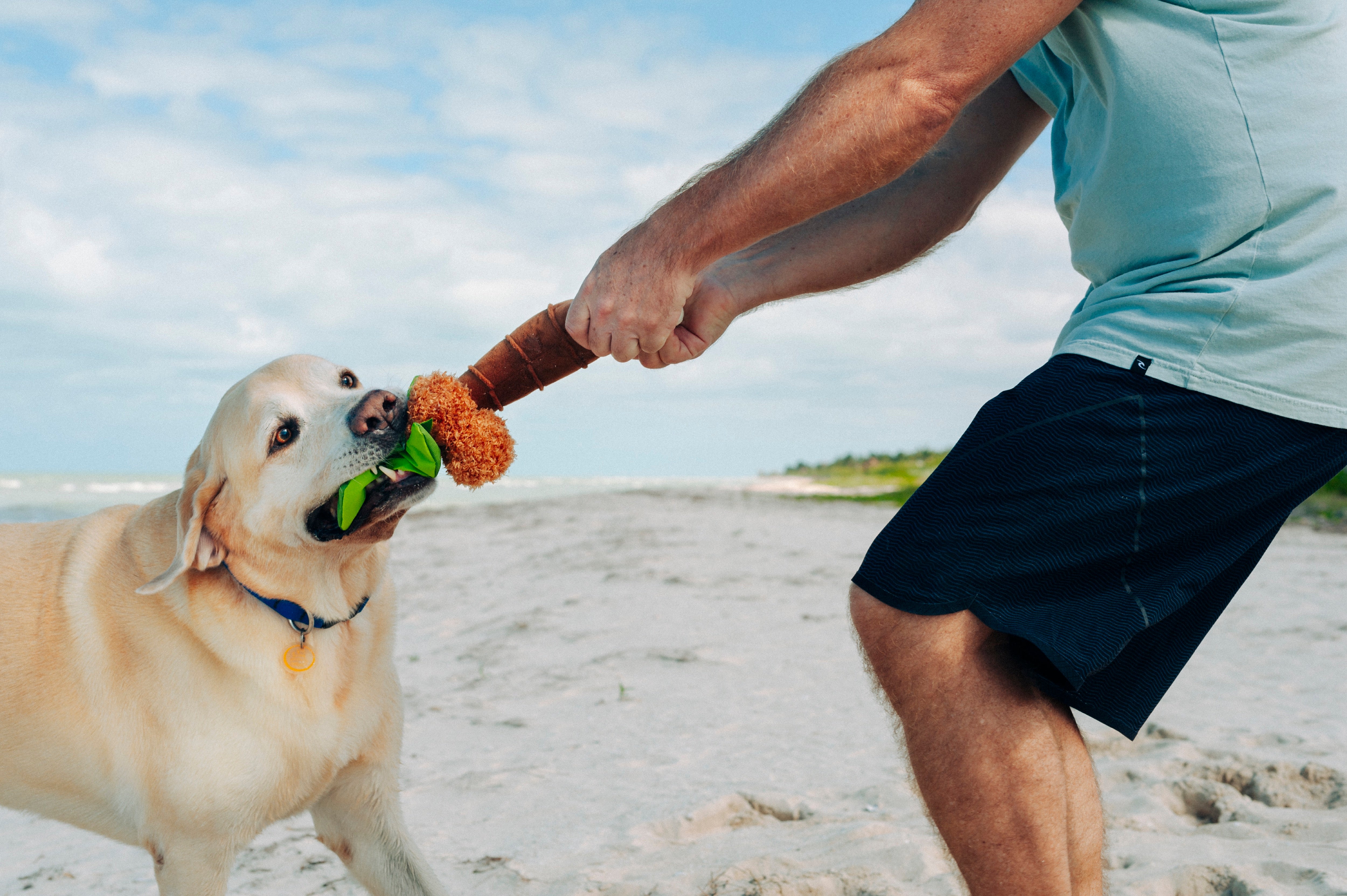 Tropical Paradise™ Dog Plush Toy - La Palma Soft Chew Toy for Dogs | Durable & Safe Pet Play | Perfect for Indoor & Outdoor Playtime