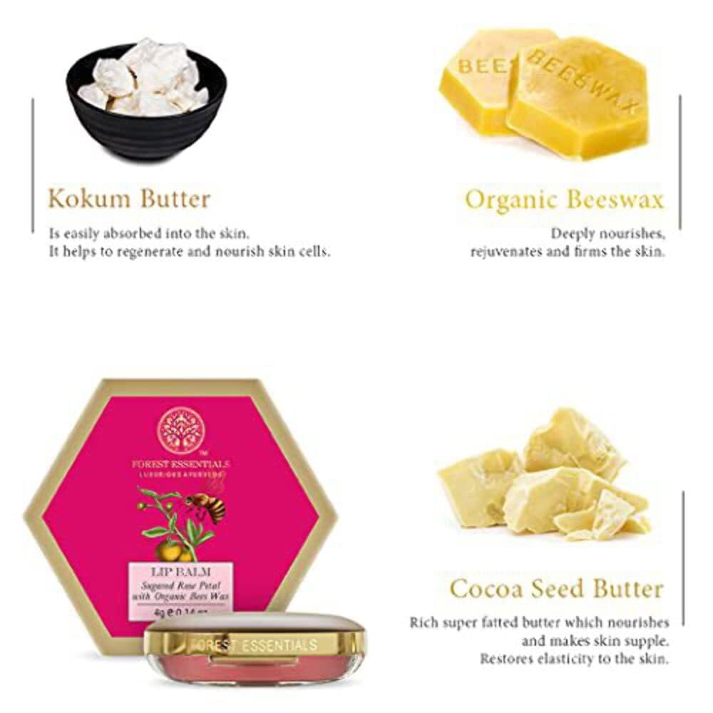 Forest Essentials Luscious Lip Balm - Sugared Rose Petal | Hydrating & Nourishing Lip Care | Perfect for Dry Lips, Daily Moisturizing & On-The-Go Use