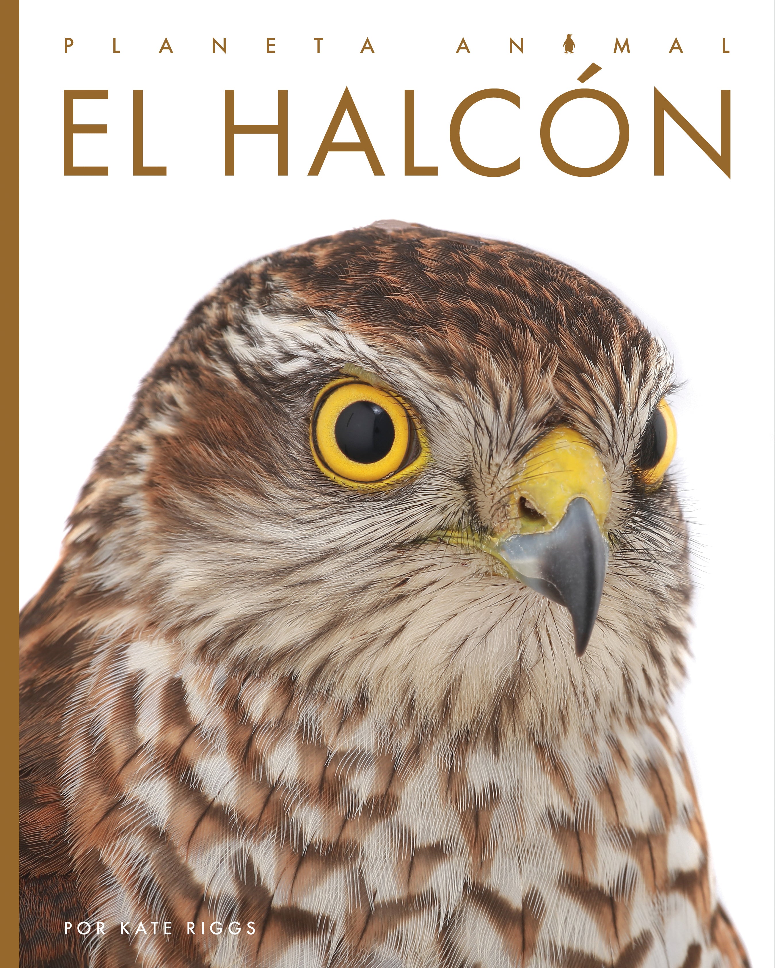 El Halcon 9781640266902 - Spanish Language Book for Adventure Lovers - Perfect for Reading, Gifts & Book Clubs