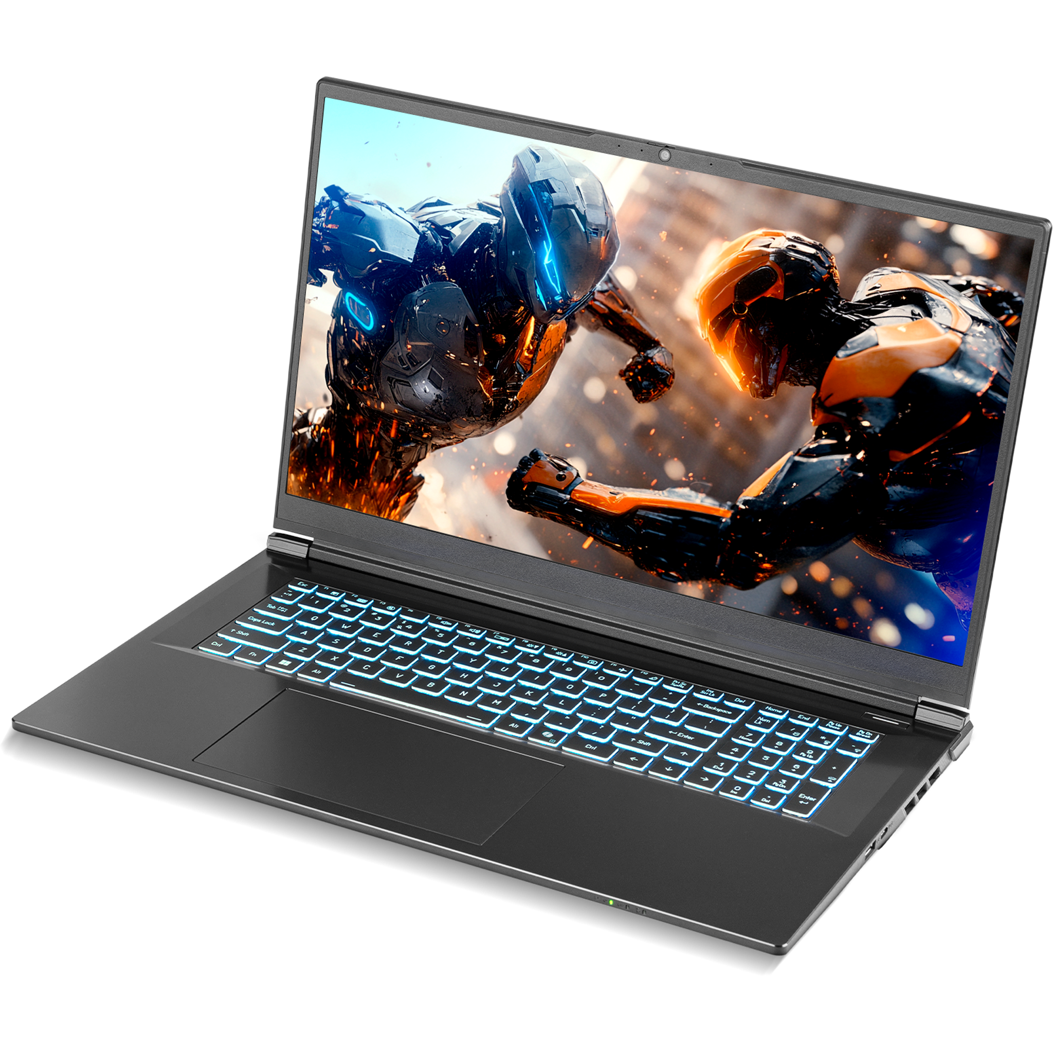 SAGER NP7571P (Clevo V370WNPQ) 17.3