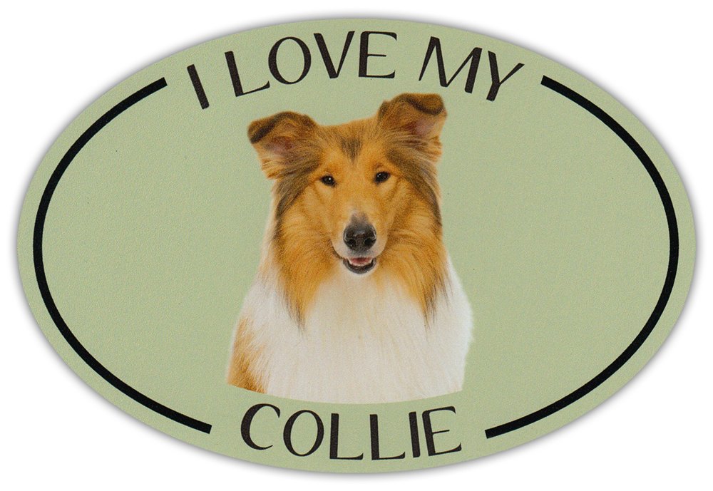 Oval Dog Magnet - I Love My Collie Border - Car Bumper Sticker for Pet Lovers