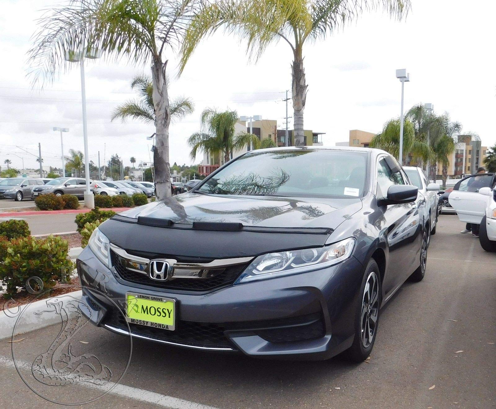 Honda Accord Coupe Car Hood Bra Cover 2013-2017 | UV Protection & Paint Guard | Perfect for Road Trips & Car Shows