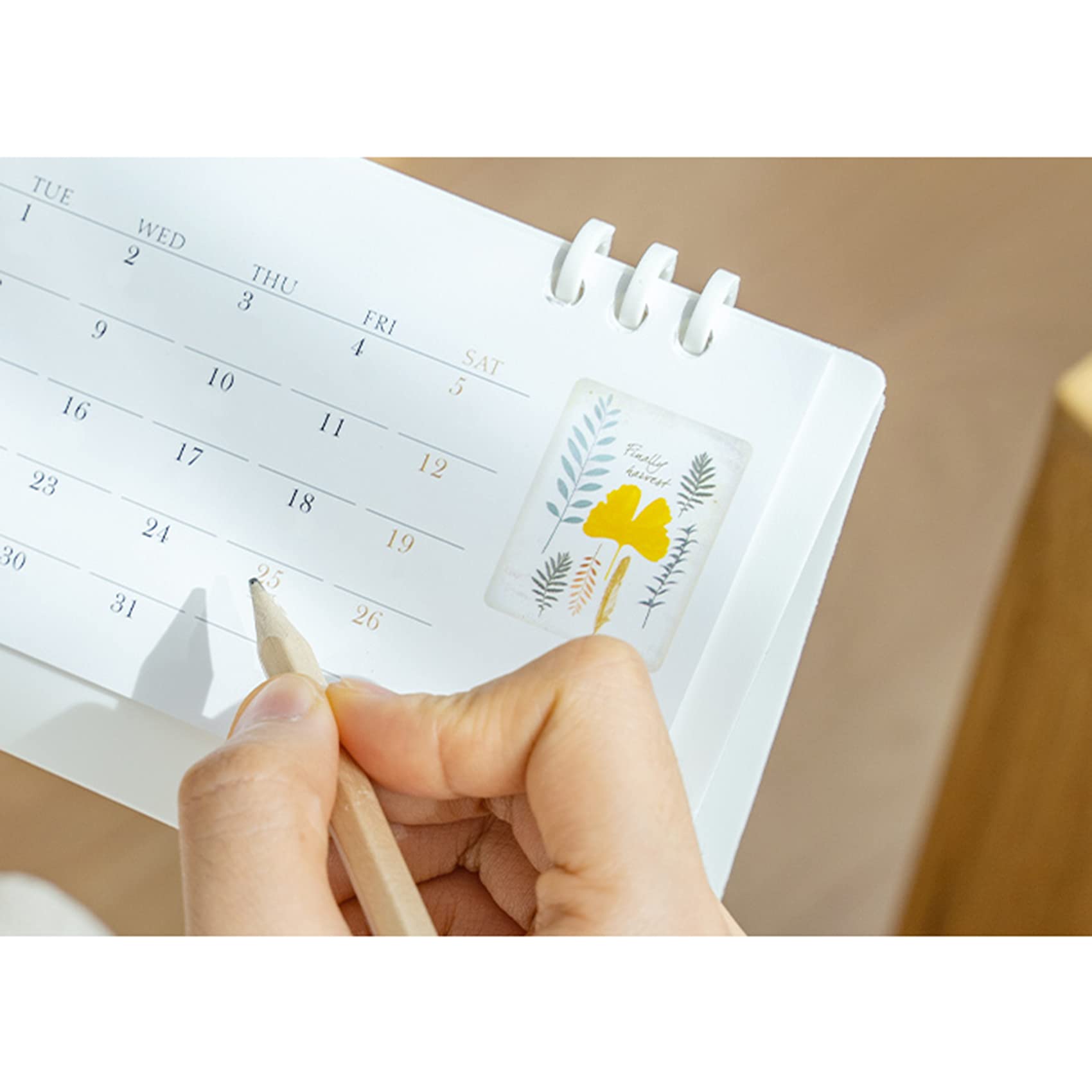 2025 Mini Desk Calendar - 6.9