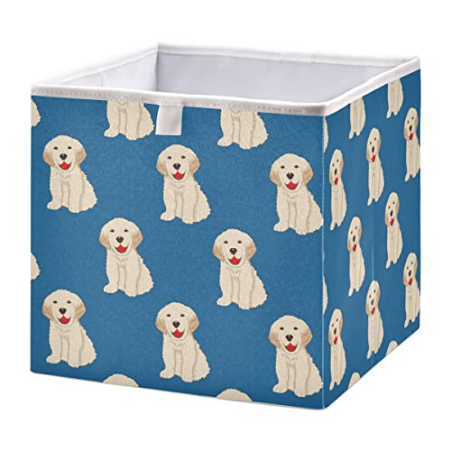 blue dog
