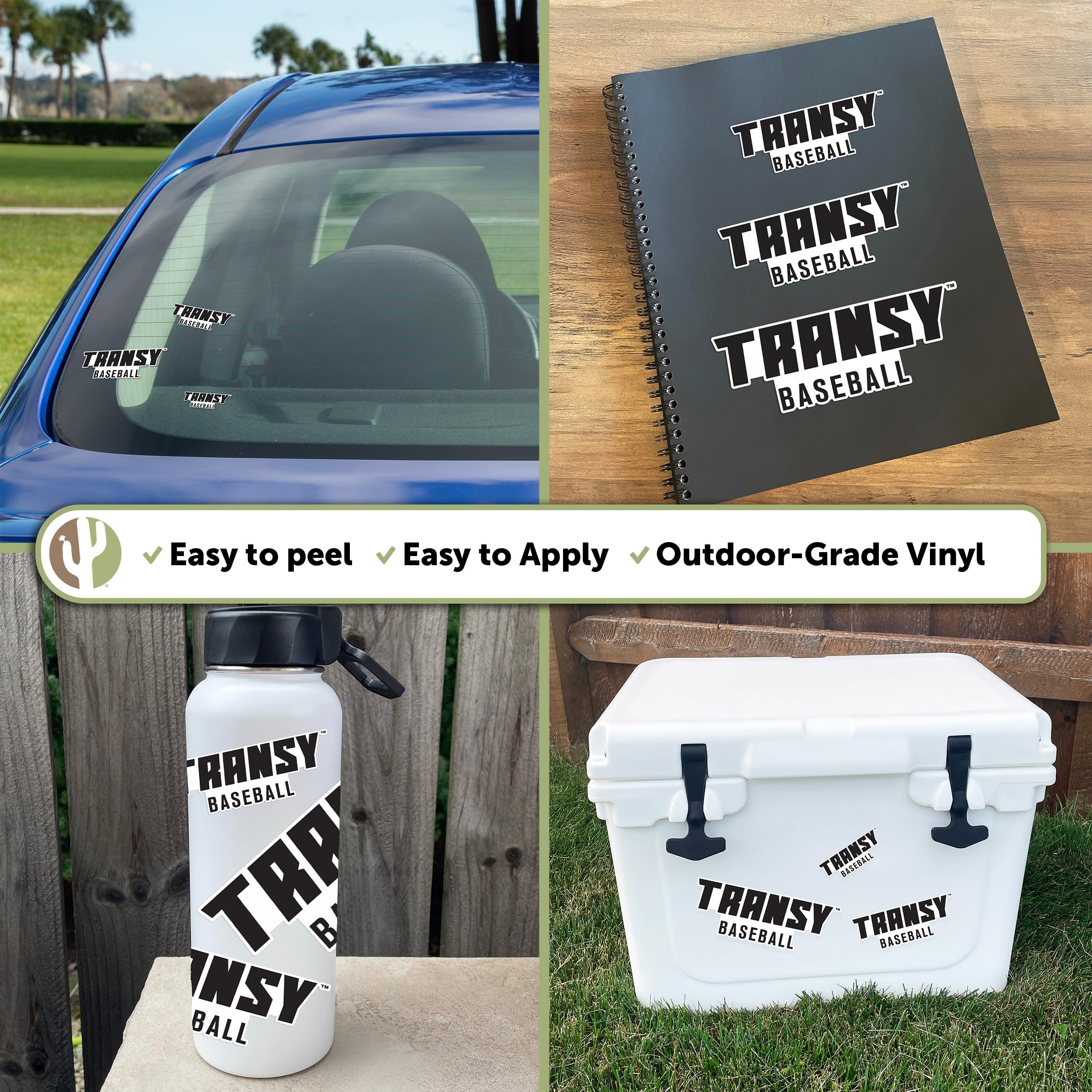 Desert Cactus Transylvania University Stickers - Waterproof Vinyl Decals for Laptop, Water Bottle, Car & Scrapbook - Perfect for College Students, Alumni Gifts & DIY Crafts (Type 3-1)