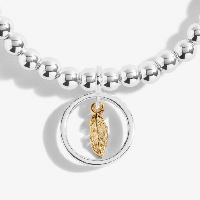 Joma Jewellery Boxed 'A Little Feathers Appear When Loved Ones Are Near' Charm Bracelet - Meaningful Gift for Mom, Wife, Daughter | Birthday, Anniversary, Christmas Present | Spiritual Reminder of Loved Ones