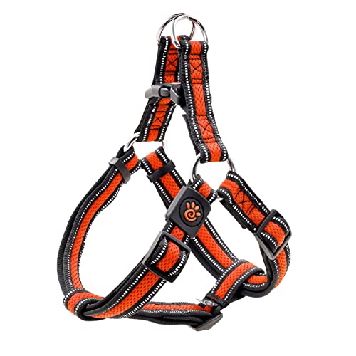 Safety Orange