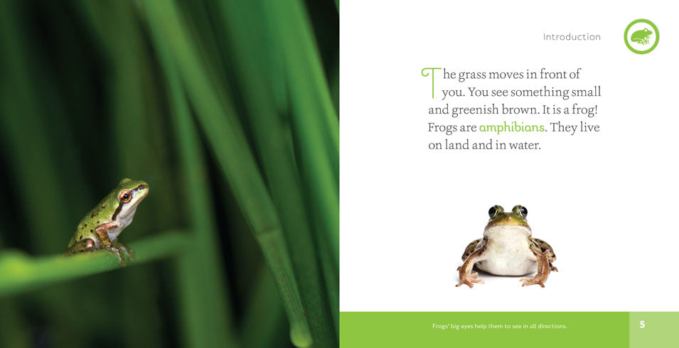 Frogs Book - ISBN 9781608186983 - Educational Wildlife Guide for Kids & Nature Enthusiasts - Perfect for Classroom Learning & Home Schooling