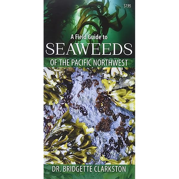 Pacific Northwest Seaweed Identification Guide - Explore Edible & Marine Algae Species for Foraging, Cooking & Beachcombing