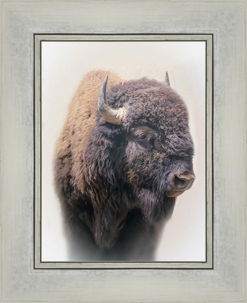 Bison By Matthew Grant | Premium Bison Meat & Jerky | High-Protein Snacks for Camping, Hiking & Outdoor Adventures