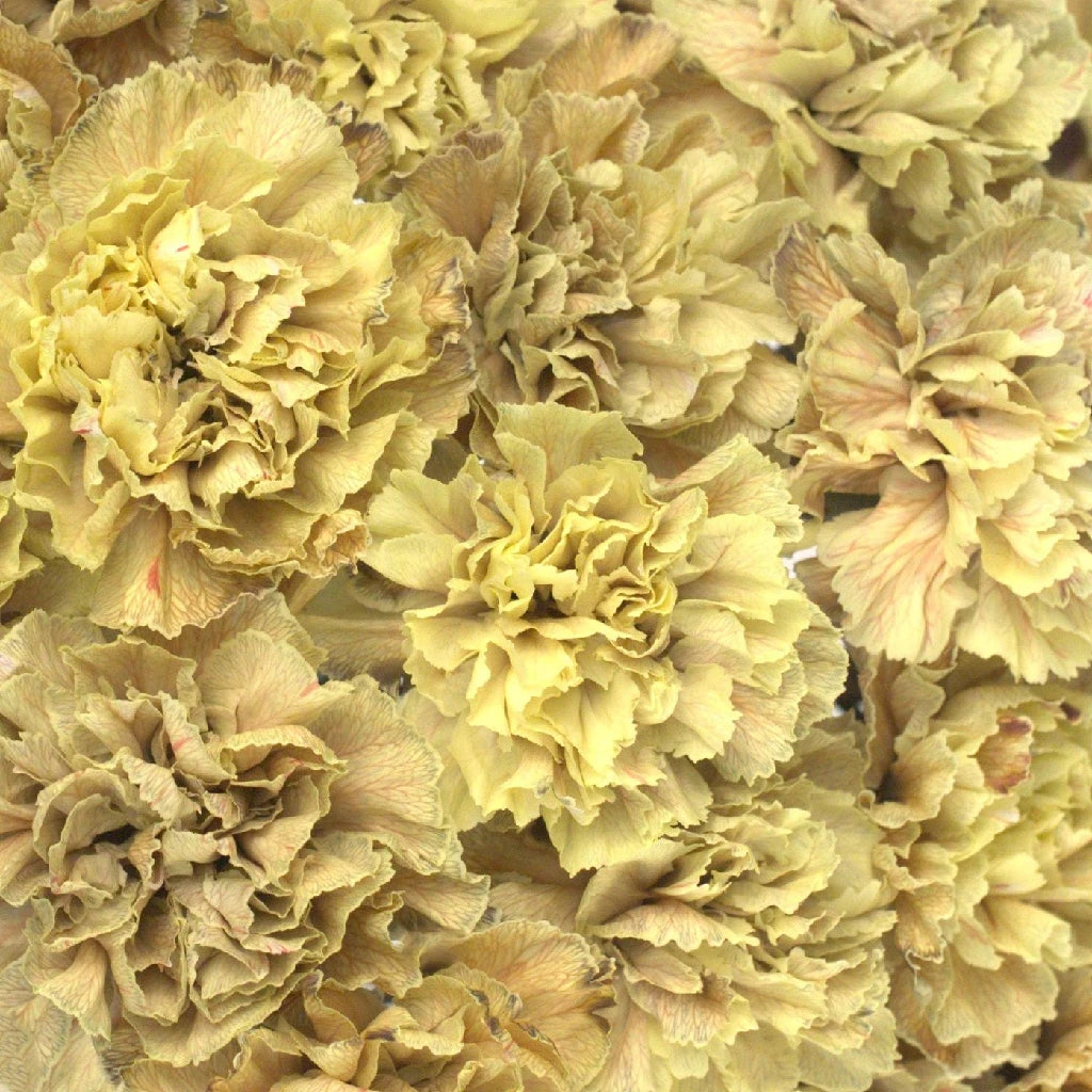Antique Peach Carnation Silk Flowers - Realistic Artificial Floral Arrangements for Home Decor, Wedding Centerpieces, and DIY Crafts