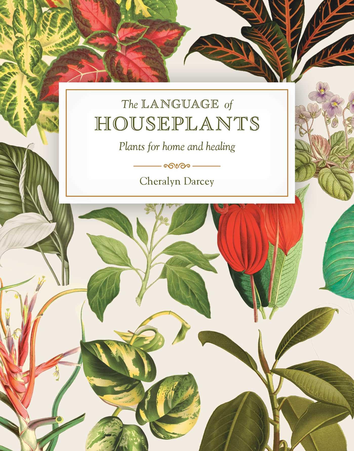The Language of Houseplants: Best Indoor Plants for Home Decor & Healing | Perfect for Living Rooms, Bedrooms & Office Spaces