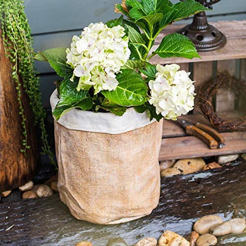Rustic Reach Paper Bag Style Concrete Garden Pot - Decorative Planters for Indoor & Outdoor Plants, Succulents, Flowers - Perfect for Patio, Balcony, and Home Decor