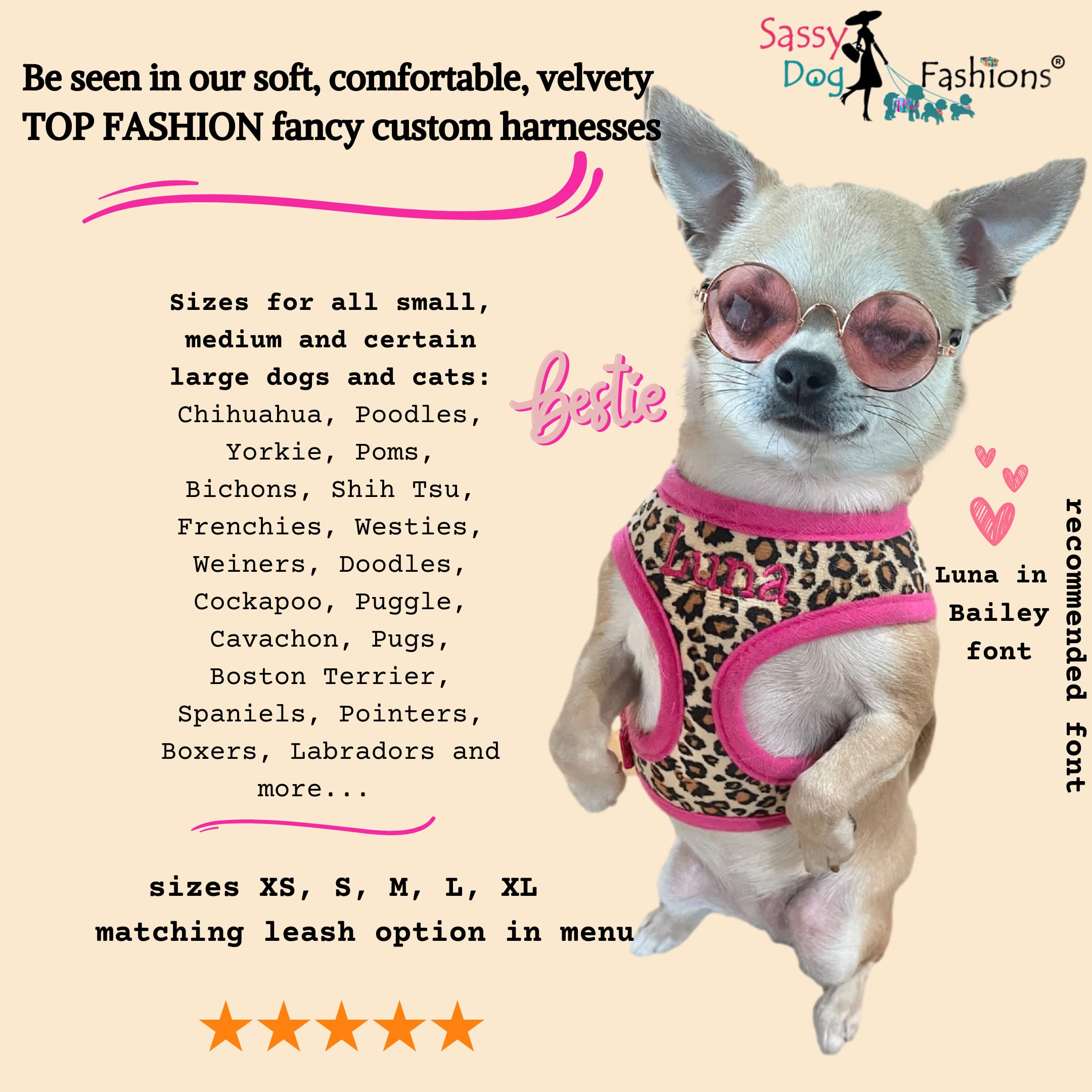**Personalized Embroidered Leopard Dog Harness & Leash Set - Soft Plush Comfort, Fashionable Pink Harness for Small, Medium, Large Dogs (Large) - Perfect for Walks, Training & Stylish Outings**
