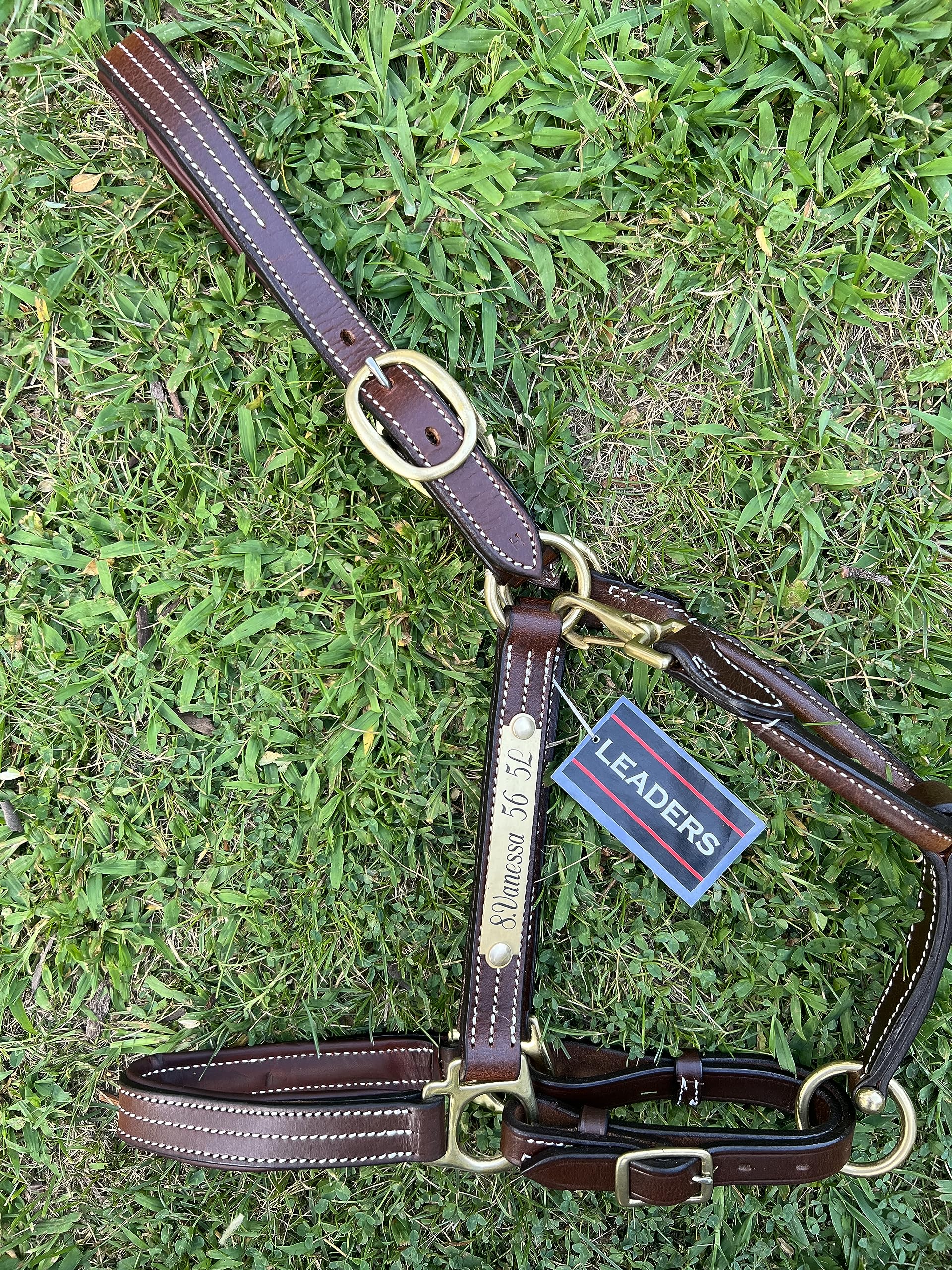 Custom Engraved Leather Horse Halter with Padded Design - Personalized Name Plate for Comfort & Style - Perfect for Training, Shows & Riding
