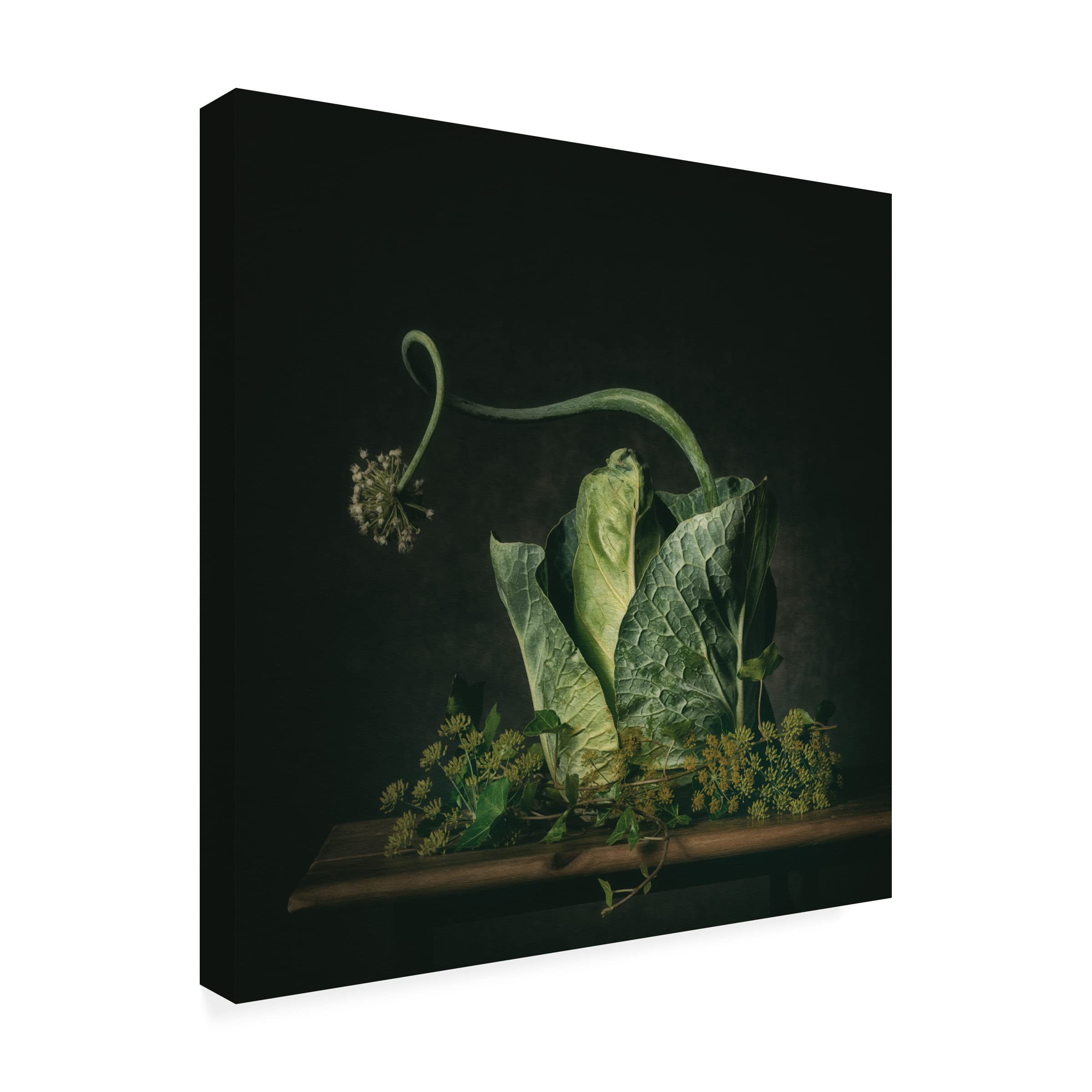 Trademark Fine Art 'A Green Fairytale' Canvas Wall Art by Monique Van Velzen - Nature Inspired Home Decor for Living Room & Bedroom