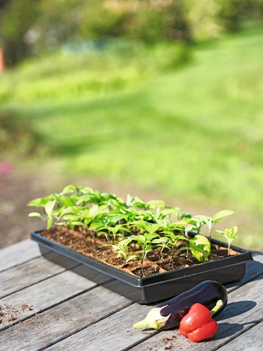 2” Square Biodegradable Seed Starter Pots with Tray - 36 Wood-Fiber Organic Planting Pots & Heavy-Duty Reusable Tray for Indoor/Outdoor Gardening, Seed Starting & Easy Transplanting - Perfect for Herbs, Vegetables & Flowers
