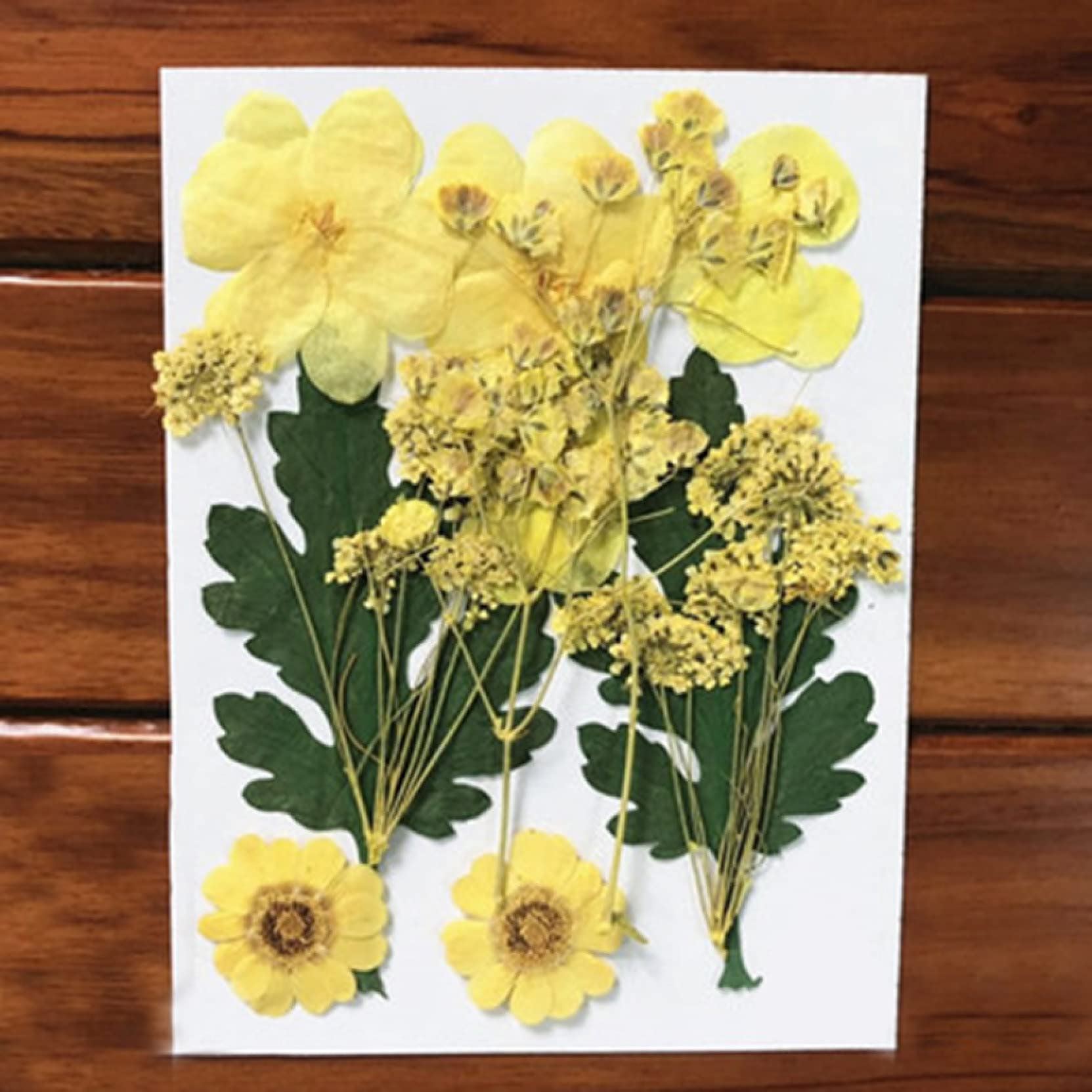 Pressed Flower Mixed Dried Flowers for Aromatherapy Candles, Greeting Cards, Epoxy Resin Crafts & DIY Jewelry Making - Perfect for Home Decor, Wedding Favors and Gift Wrapping