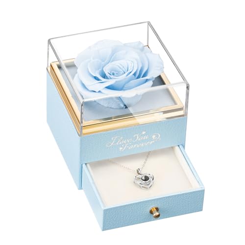 A5_light Blue Rose_silver Necklace-new