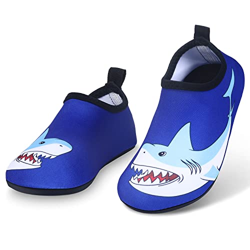 Shark-blue