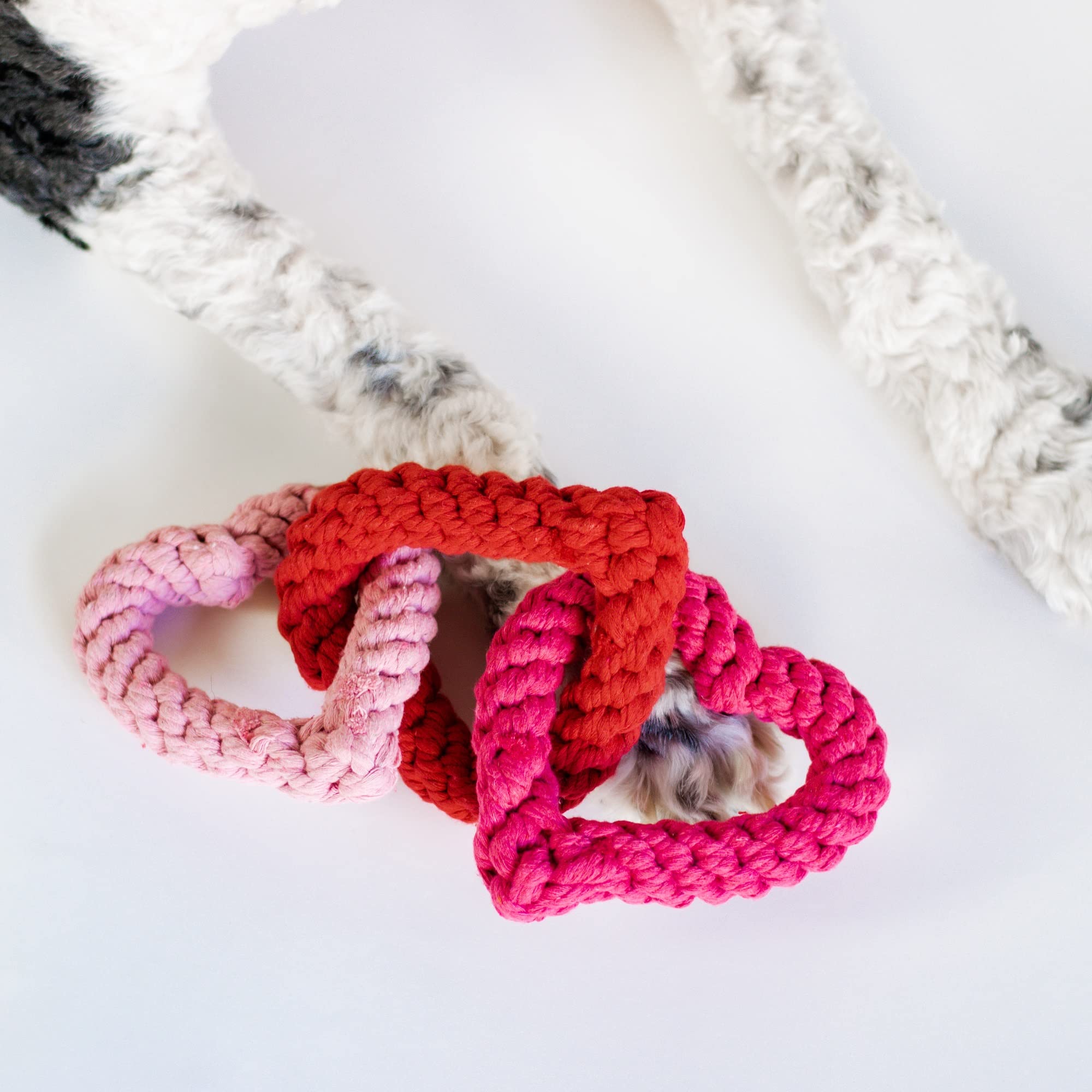 Midlee Interlocking Heart Rope Valentine Dog Toy - 6 Inch Pink & Red Small Tug Toy for Puppies - Perfect for Valentine's Day Playtime, Training, and Bonding with Your Pet