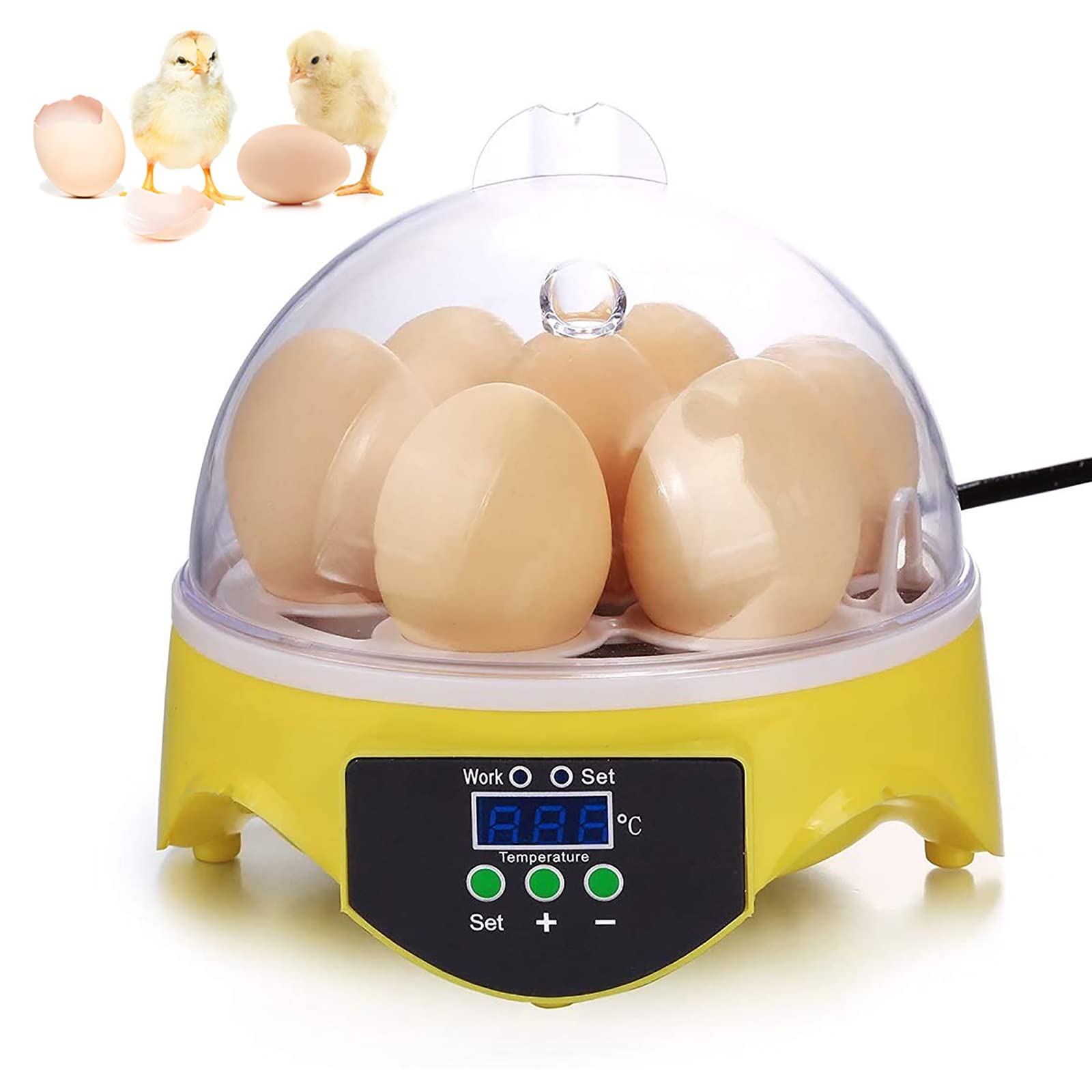 M-TOP Automatic Egg Incubator for Chicken & Quail Eggs - 7 Egg Capacity with Digital LED Display, Auto Temperature Control & Turning - Perfect for Home Poultry Farming, Classroom Projects & Backyard Hatching