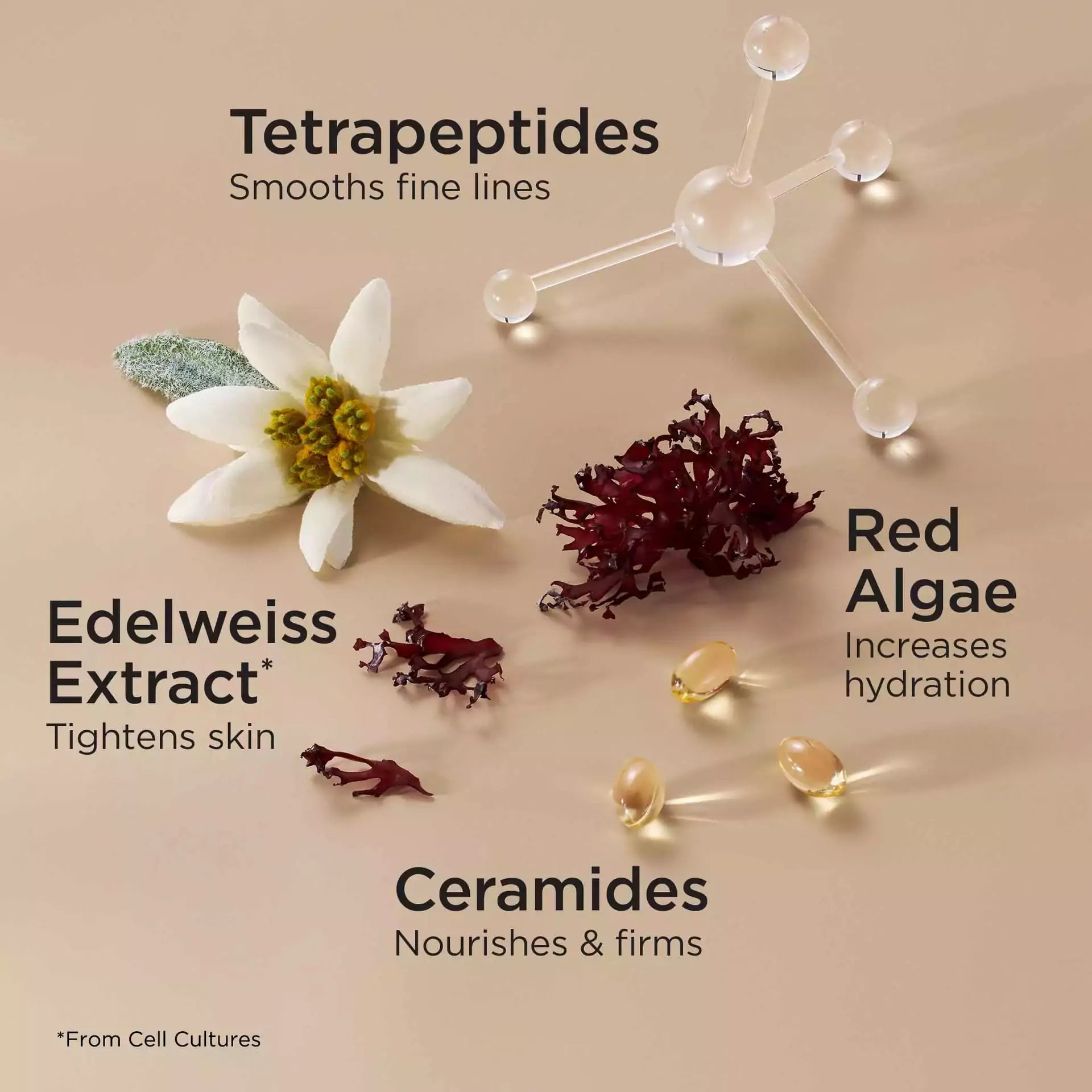 Ceramide Lift & Firm Day Cream with SPF & Night Cream Set - Anti-Aging Skincare Duo for Wrinkles & Fine Lines | Perfect for Daily Hydration & Overnight Repair