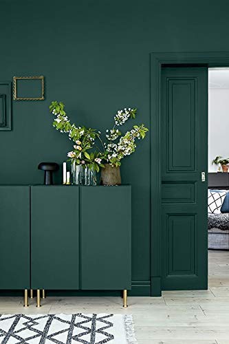 THE ONE Paint & Primer: Most Durable All-in-One Interior & Exterior Paint for Furniture, Cabinets, Doors, Walls - Fast Drying Satin Finish (Green, 1 Liter) - Perfect for Kitchen, Bathroom, Living Room & Outdoor Projects