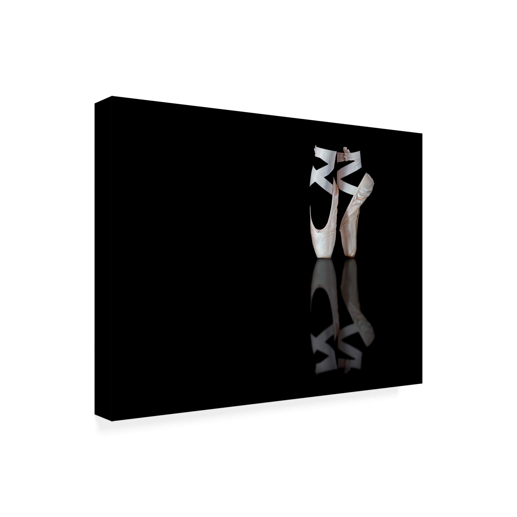 Trademark Fine Art 35x47 Ballet Shoes by Pauline Pentony MA - Elegant Ballet Wall Decor for Dance Studios, Bedrooms & Home Art Collection