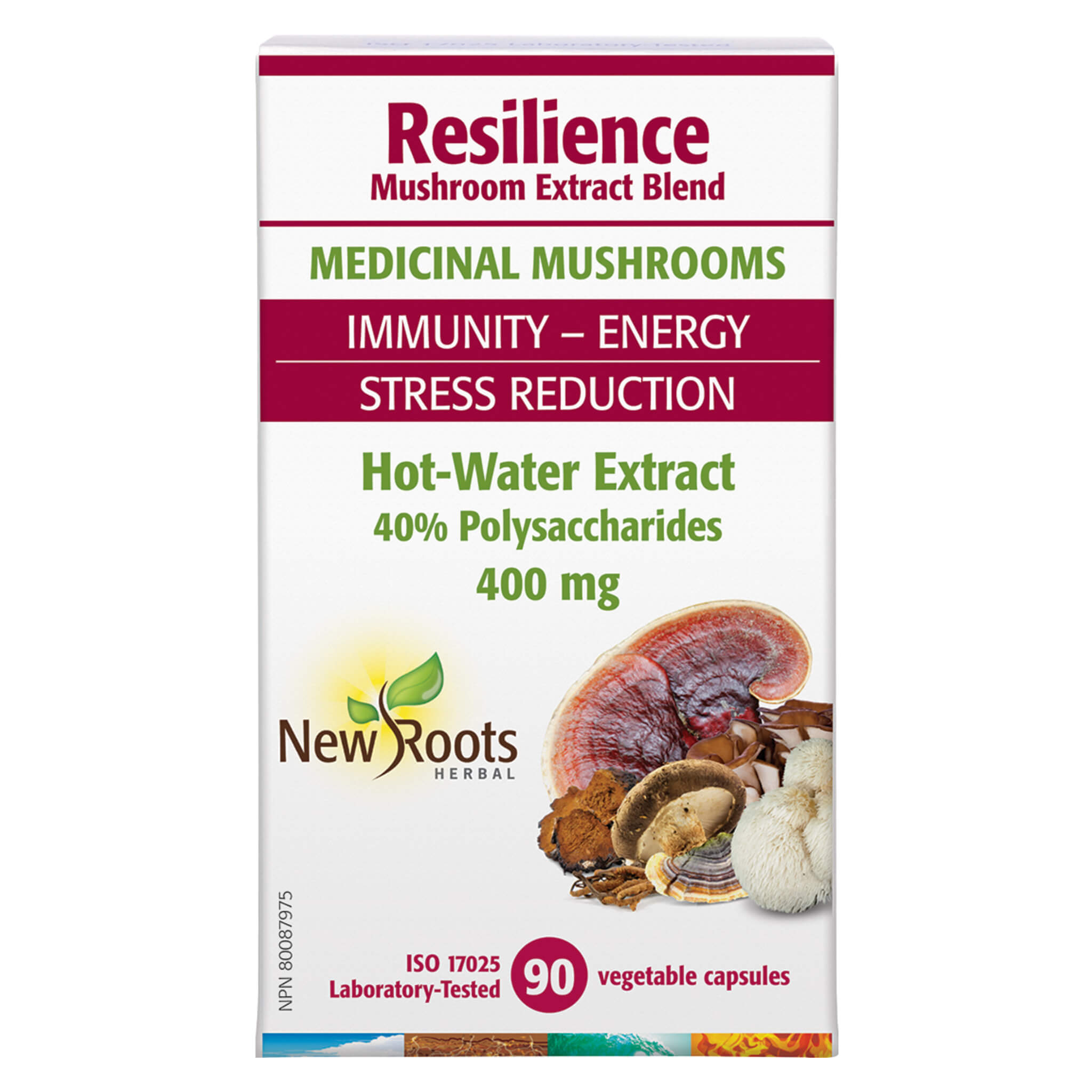 Premium Organic Resilience Mushroom Blend - Immune Support Supplement for Stress Relief & Energy Boost | Ideal for Daily Wellness, Travel & Busy Lifestyles