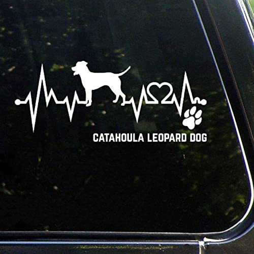 Catahoula Leopard