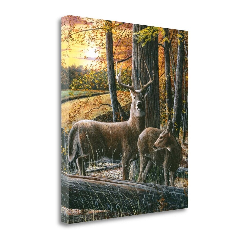 Autumn Harvest II by Kevin Daniel - Premium Giclee Art Print on Gallery Wrapped Canvas, Ready to Hang Wall Decor - Perfect for Living Room, Bedroom & Office Art Display