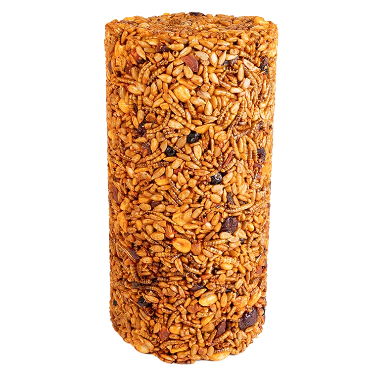Sizzling Nuts & Bugs Seed Cylinder for Wild Birds - Small Size Bird Feeder for Backyard, Garden & Outdoor Use