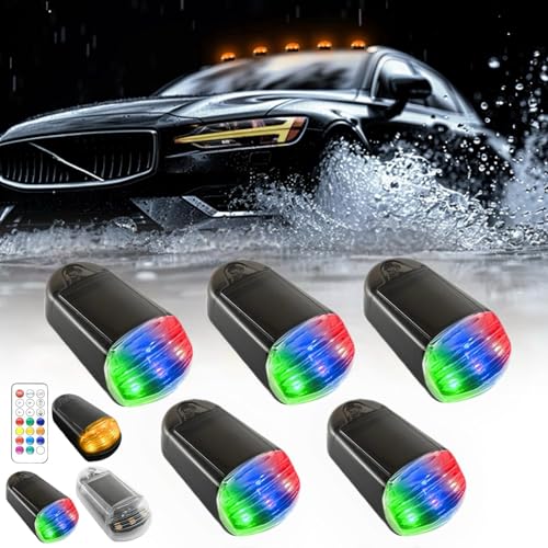 Black Shell with Seven Colors of Light