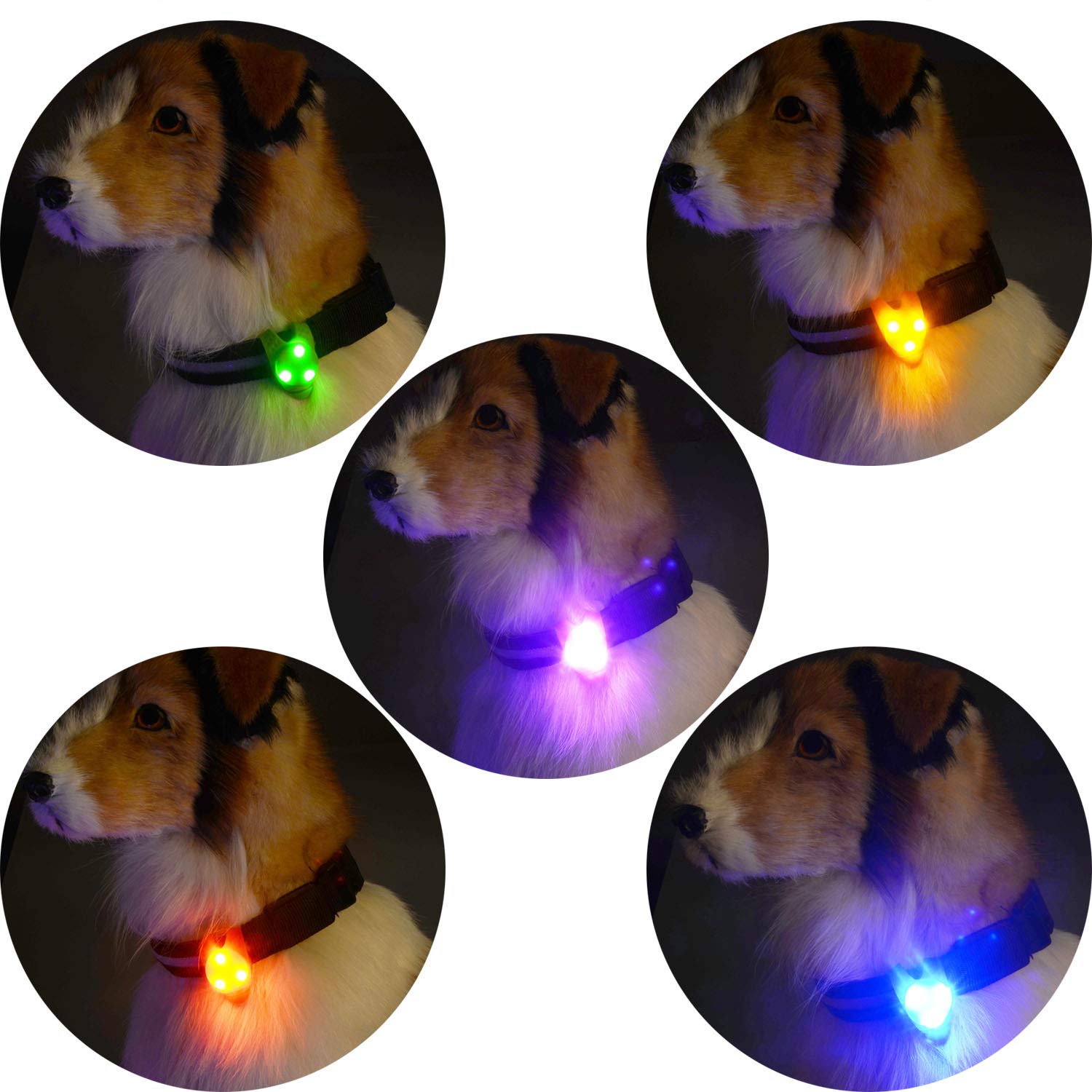 5-Pack LED Dog Collar Light - Waterproof Pet Safety Strobe Harness with Reflective Strips for Small Medium Large Dogs - Night Walking, Camping, Jogging & Outdoor Activities Accessories