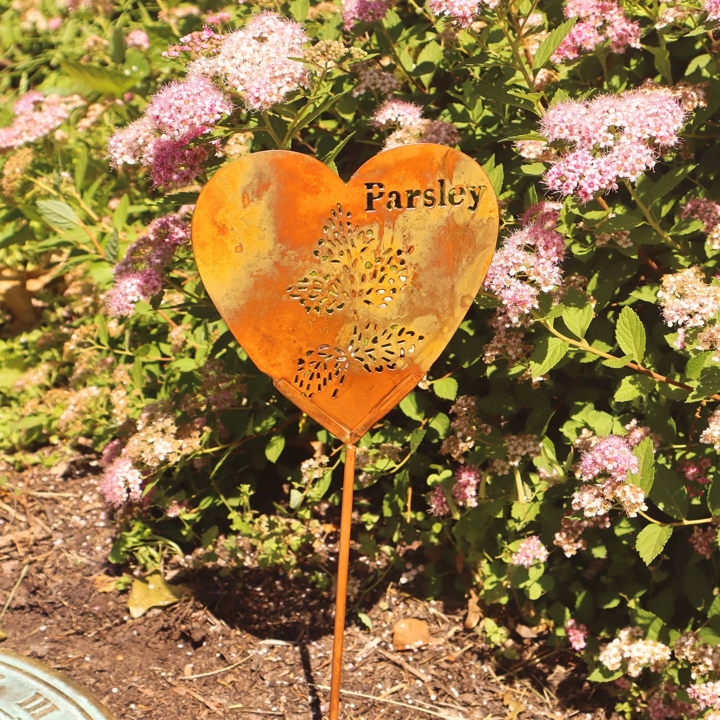 Fresh Parsley Herb Garden Stake - Natural Plant Marker for Outdoor & Indoor Herb Gardens - Perfect for Kitchen, Balcony, or Backyard Gardening