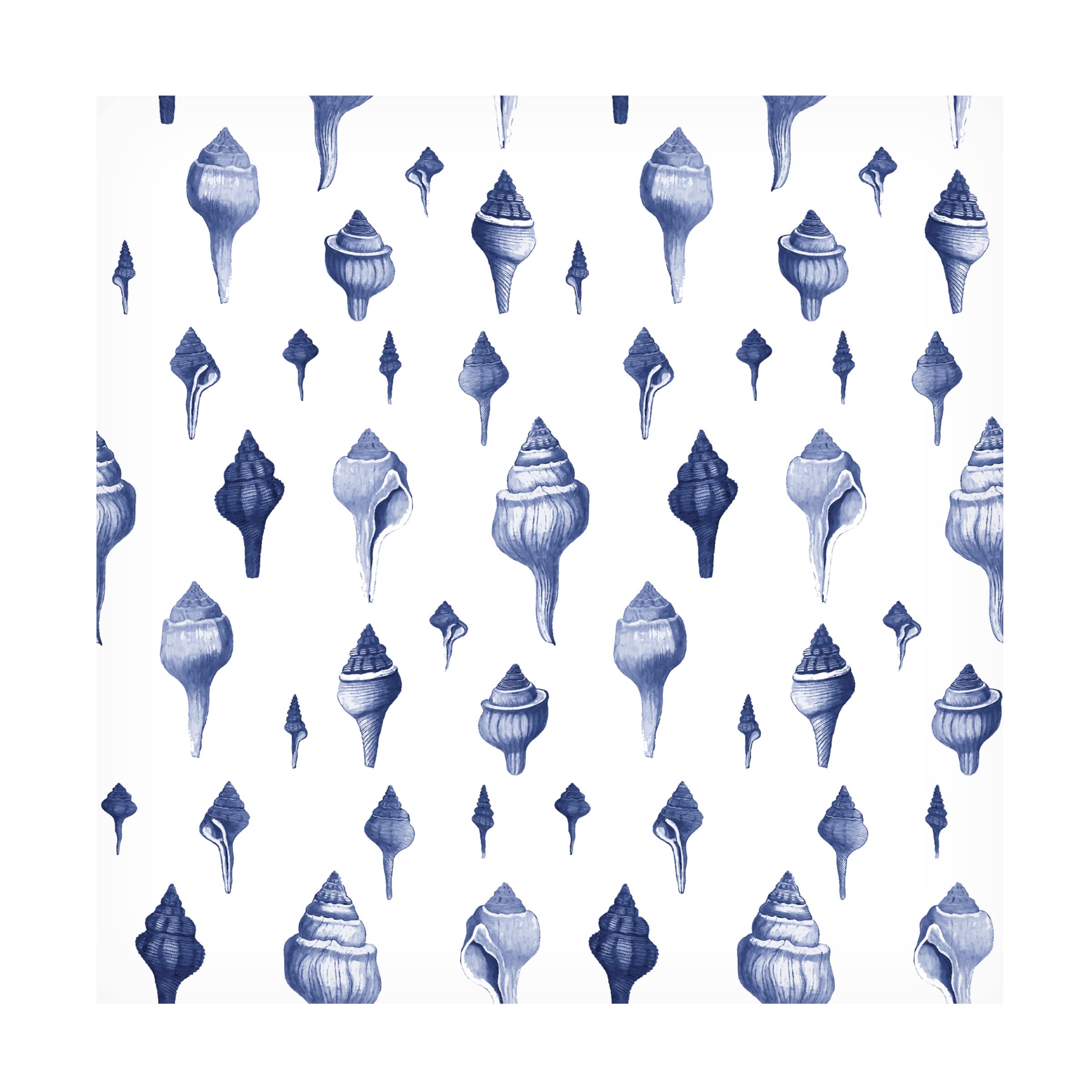 Trademark Fine Art 'Spiral Shells Blue' Canvas Wall Art by Cora Niele - Ocean Themed Home Decor for Living Room, Bedroom & Office