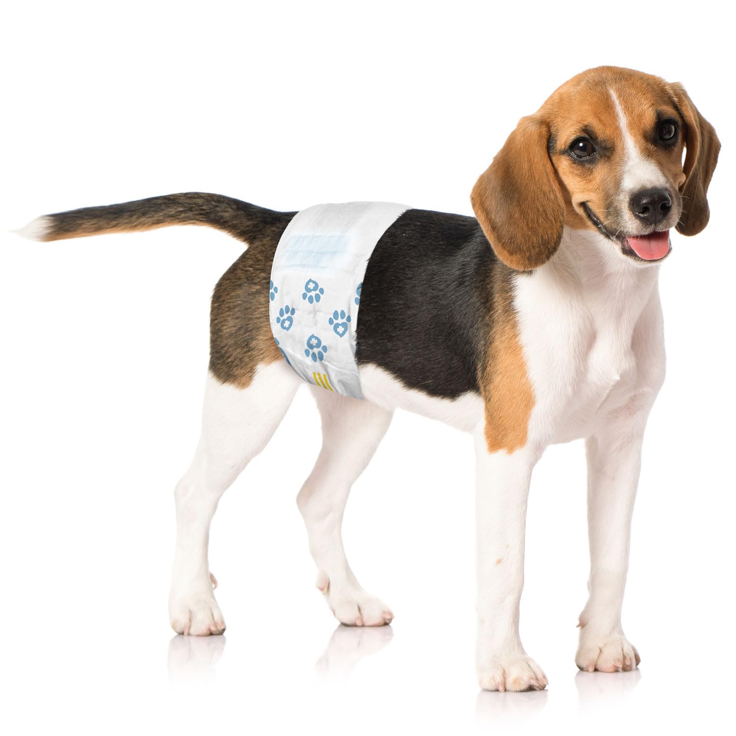 **Disposable Dog Diapers for Male Dogs - Medium Size (144 Count) | Snag-Free Fasteners, Leak-Proof Design, Wetness Indicator | Ideal for Incontinence, Training & Travel**