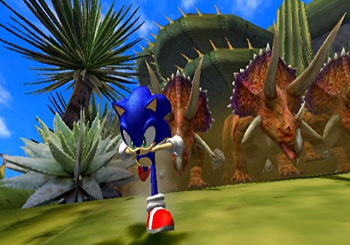 Sonic and the Secret Rings - Nintendo Wii Game - Fast-Paced Adventure for Kids & Adults - Perfect for Family Game Nights & Party Fun