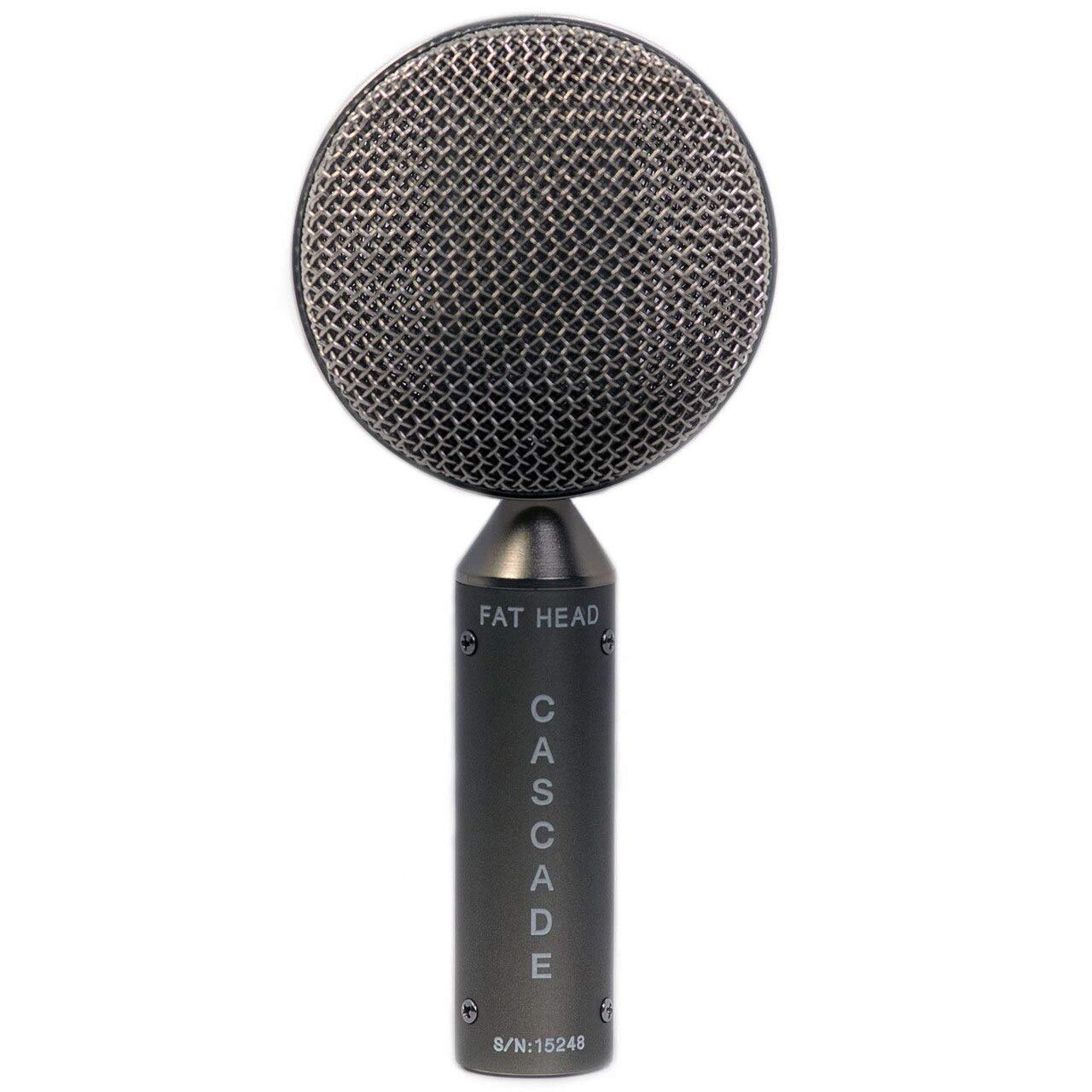 Cascade Microphones FAT HEAD BE Large Diaphragm Ribbon Microphone - Grey Body with Anodized Silver Grill for Studio Recording, Vocals & Instruments