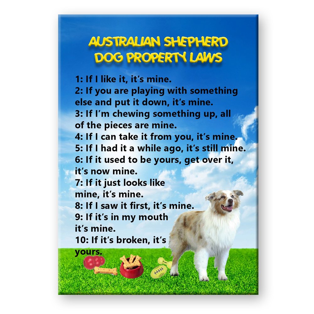 Funny Australian Shepherd Dog Property Laws Fridge Magnet - Perfect for Pet Lovers & Office Humor | Great Gift for Dog Owners & Home Decor