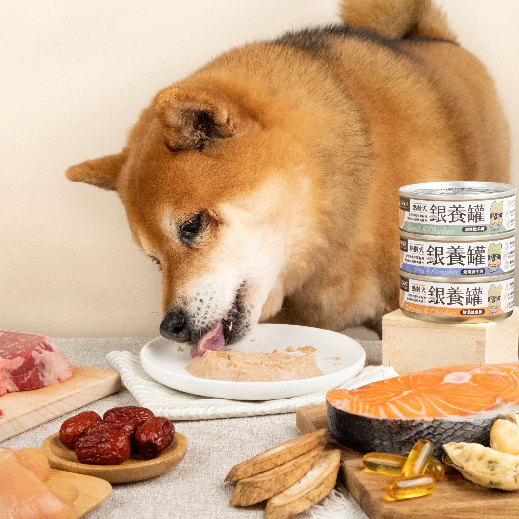 Premium Roast Beef Complete & Balanced Senior Dog Food - High Protein, Grain-Free Wet Canned Food for Older Dogs - Supports Joint Health & Digestion - Perfect for Mealtime & Senior Dog Care