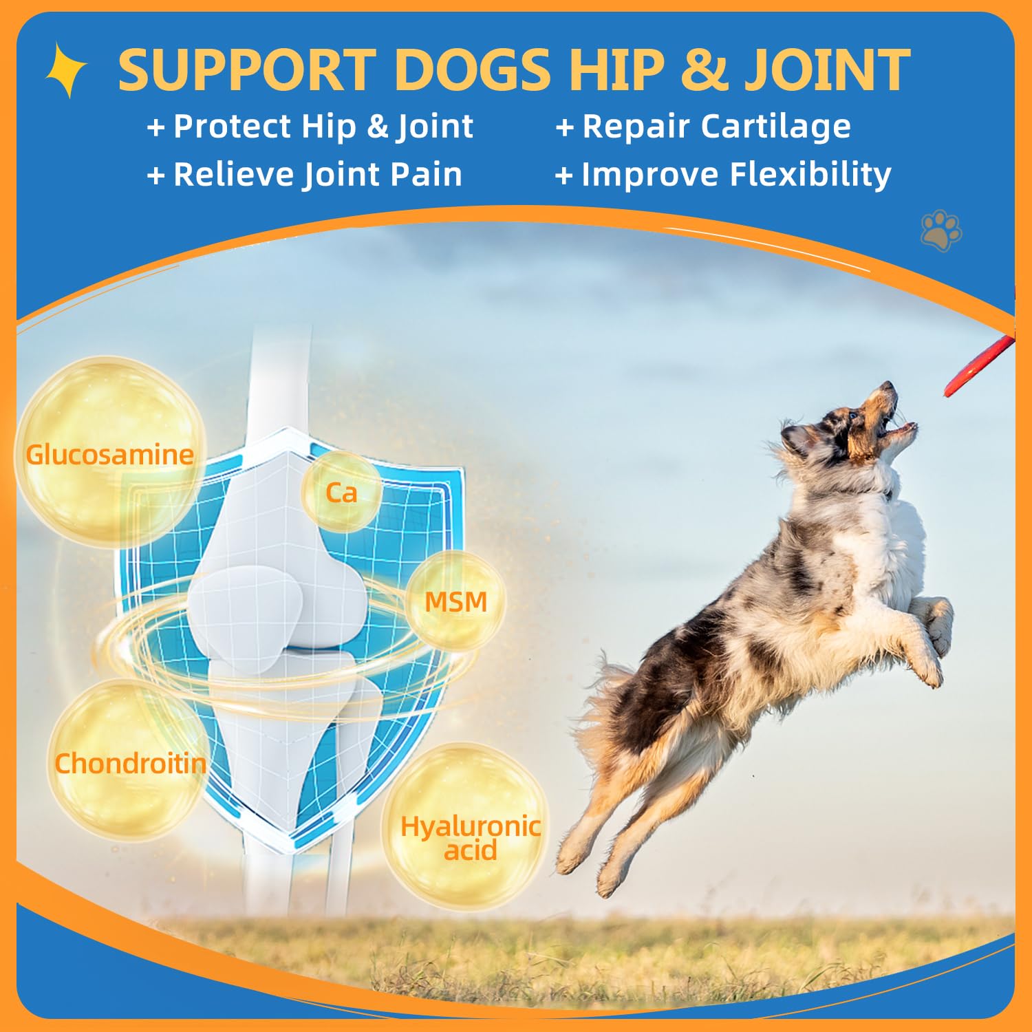 Premium Dog Multivitamin Powder with Glucosamine & Omega 3 - Immune Support, Skin & Coat Supplement for Allergy Relief - Probiotics for Digestive Health - Ideal for Active Dogs & Senior Pets