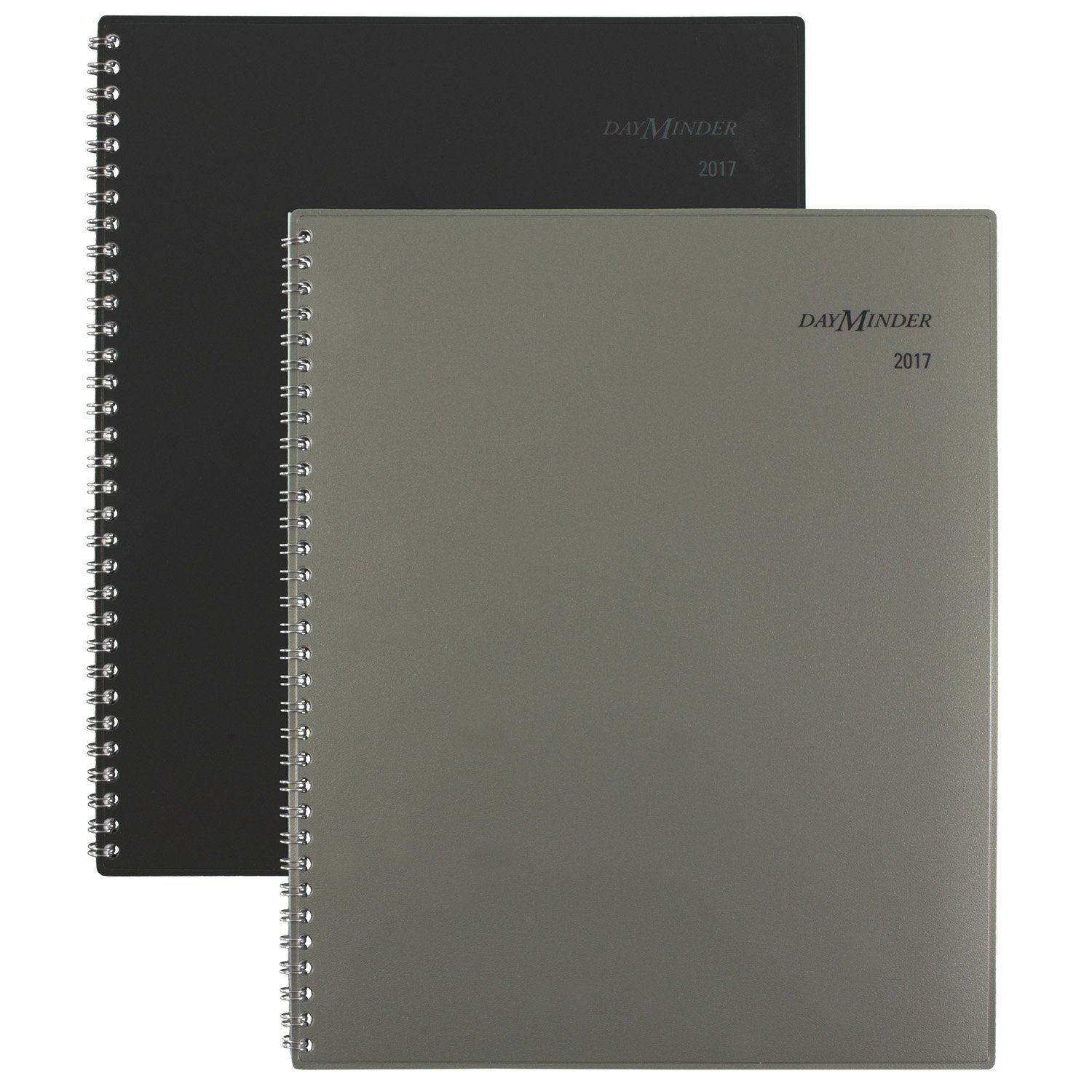 DayMinder Monthly Planner 2017 - 8.5 x 11 Inch Traditional Desk Calendar with Color Variations (GC470-10) | Perfect for Office, School & Home Organization