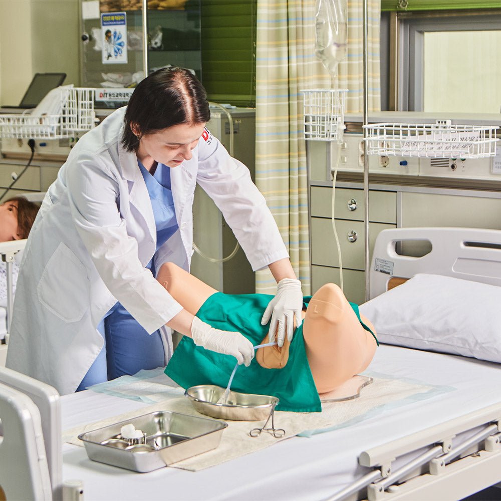 Female Catheterization Simulator - Medical Training Model for Nursing Students & Healthcare Professionals - Practice Urinary Catheter Insertion Techniques