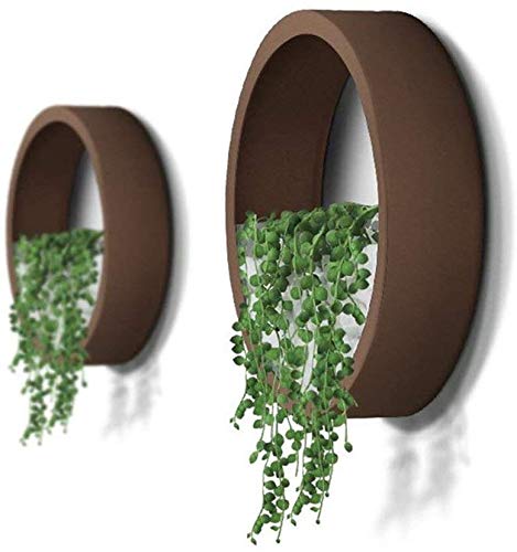 Ecosides 8