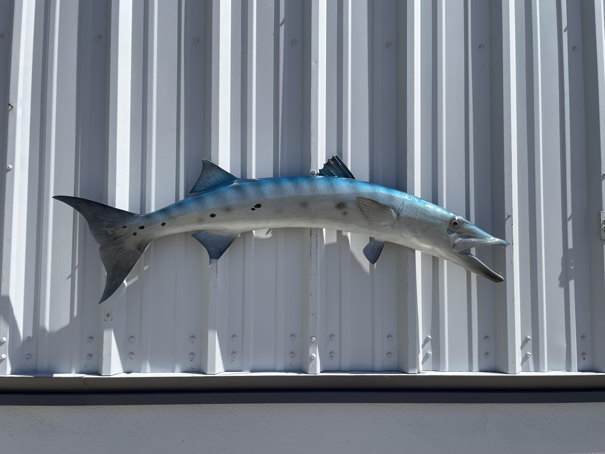 Barracuda Fish Wall Mount Replica - Lifelike Fishing Trophy & Coastal Home Decor for Living Room, Office, or Beach House