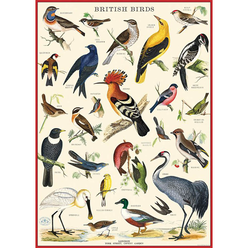 British Birds Gift Wrap - Premium Wrapping Paper for Birthdays, Christmas & Special Occasions - Perfect for Bird Lovers & Nature-Themed Events