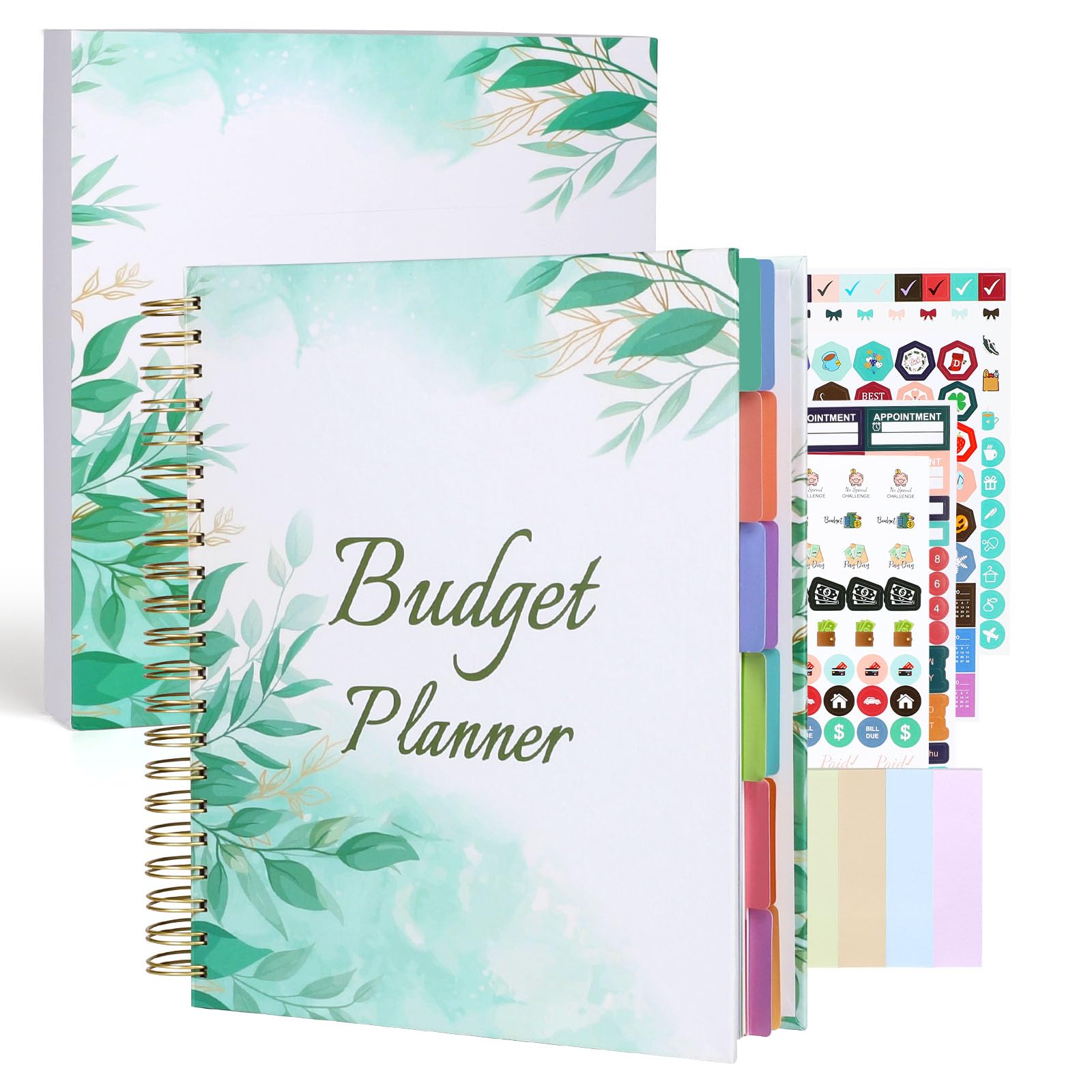 2025 Large Budget Planner 8.5