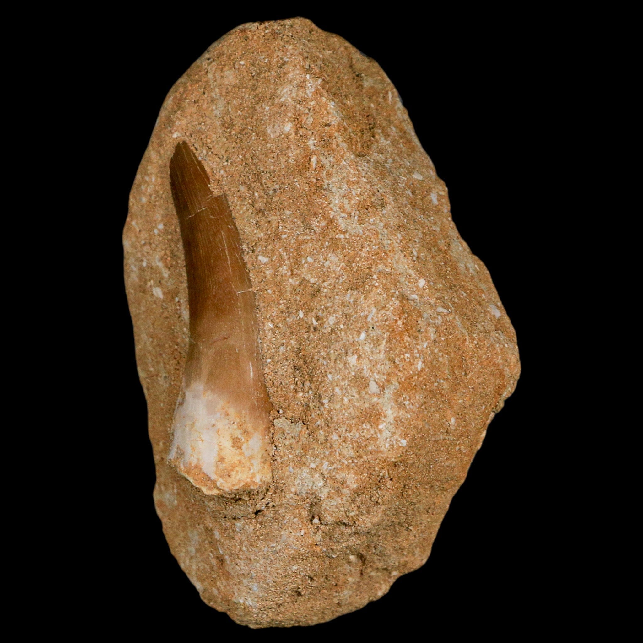 1.9